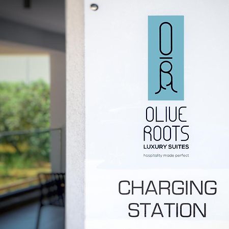 Hotel Olive Roots Skala Rachoni  Exterior foto