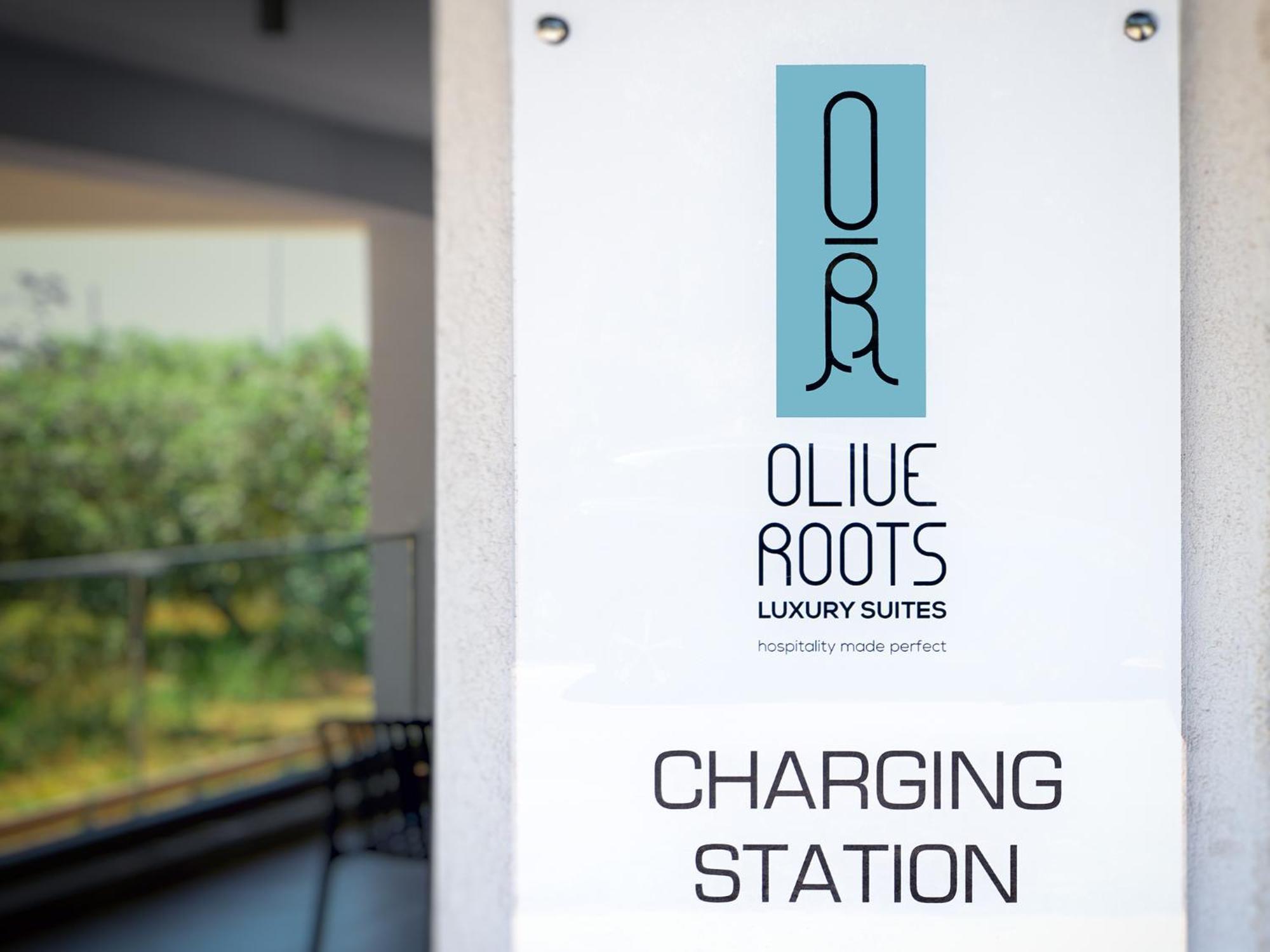 Hotel Olive Roots Skala Rachoni  Exterior foto