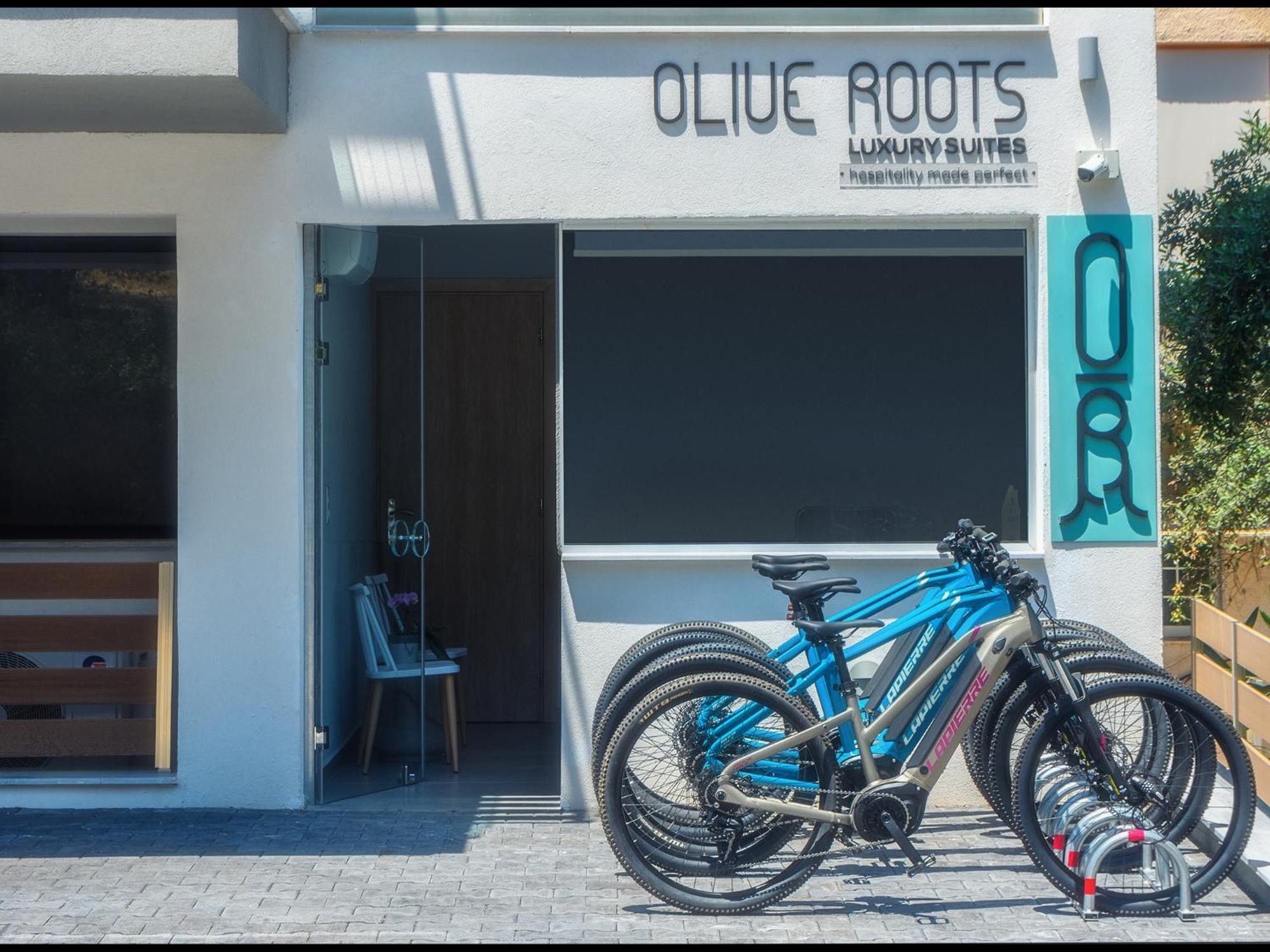 Hotel Olive Roots Skala Rachoni  Exterior foto